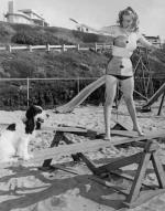 1947-02_03-Fox_publicity-sitting02-bikini_bicolor-beach-020-1