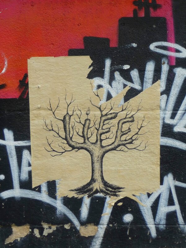 Climat 6