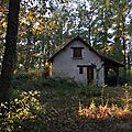 IMG_0334
