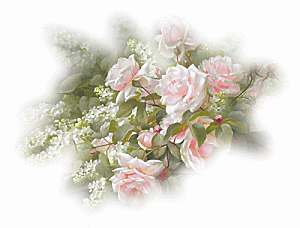 Belles-Roses4gl8295w