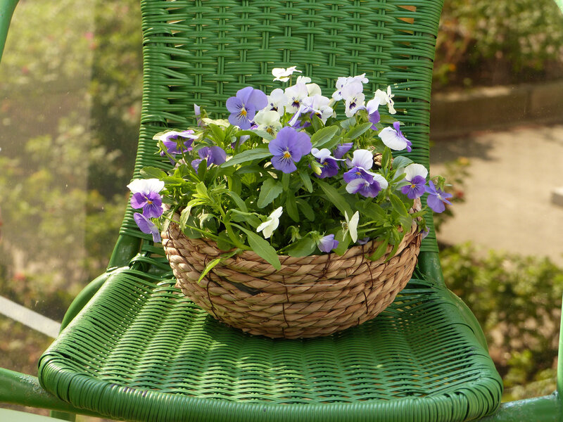 P1450506