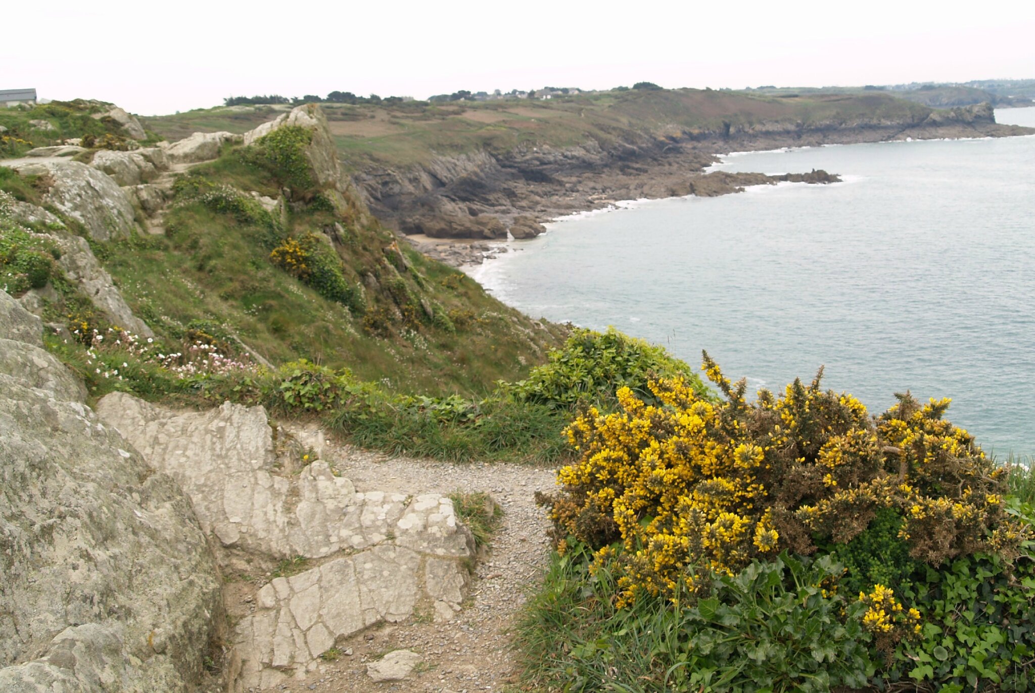 La Pointe du Groin le sentier des douaniers Photo de Bretagne Nord Mes toiles Mes pinceaux La Pointe du Groin le sentier des douaniers Photo de Bretagne Nord Mes toiles Mes pinceaux