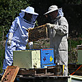 Installation des ruches du Collège 2021