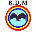 Communique officiel de bundu dia mayala