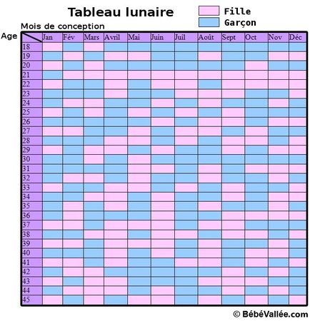 Calendrier Lunaire Chinois Fille Ou Garcon - Creation Deco