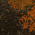 automne01
