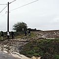 IMGP0645