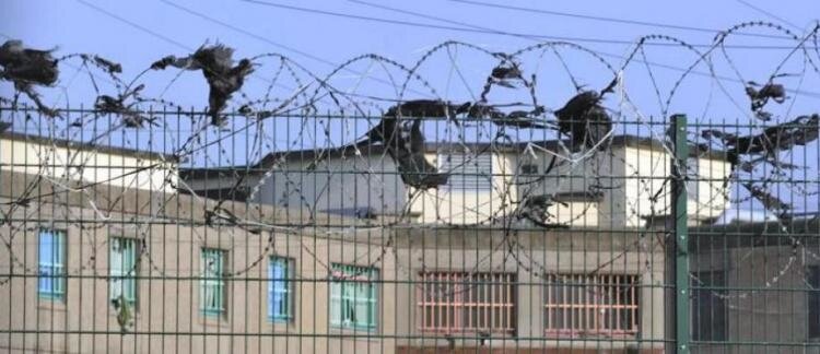 prison_2_0_1