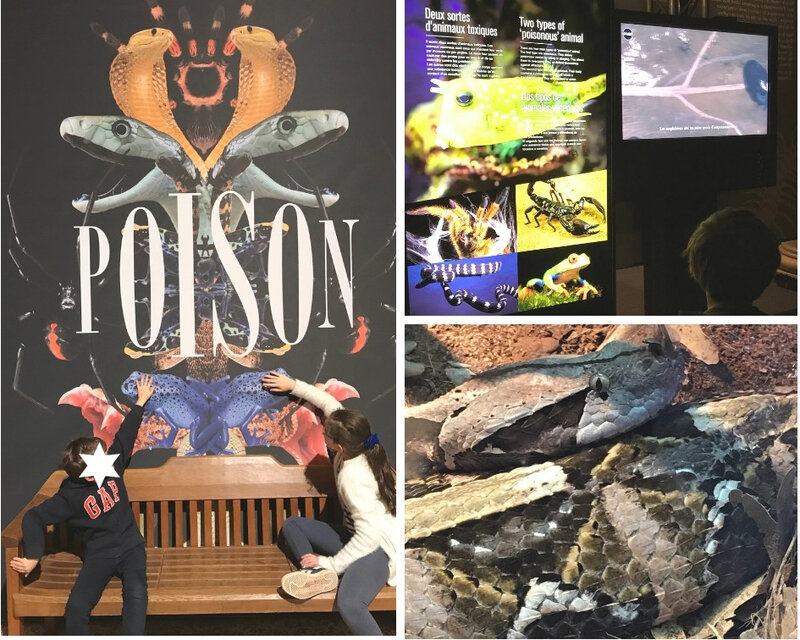 Poison l'exposition ©Kid Friendly