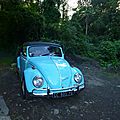 P1170464 (Copier)
