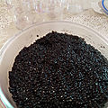  recette du caviar végétarien : le maviar