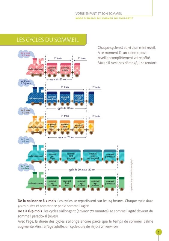 Cycles Du Sommeil Nounou Elise