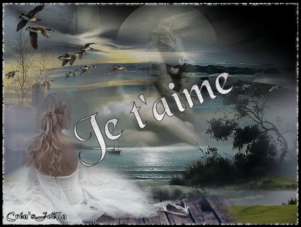 entete_jet_aime1