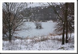 NEIGE01 NEIGE01