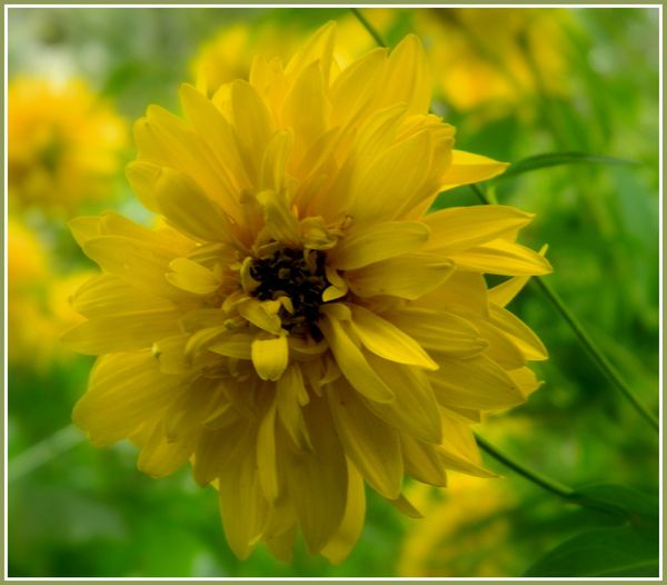 DSCN5021a