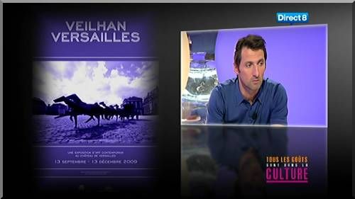 Veilhan Et Le Cirque Culturel Canal Dandylan