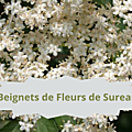 18 SUREAU NOIR(4)Beignets de Fleurs de Sureau