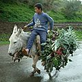 DSCF0026