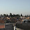 P1010031