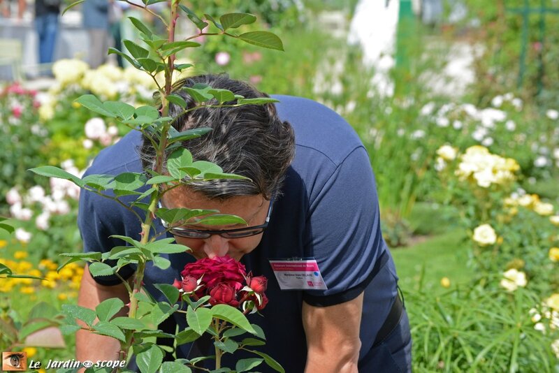 Jury Concours international de roses d'Orléans 2016