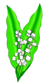 fleur29