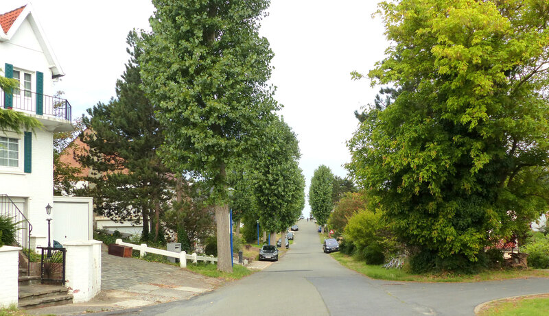 P1270773