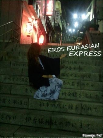 IRON ERI