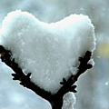 neige0&