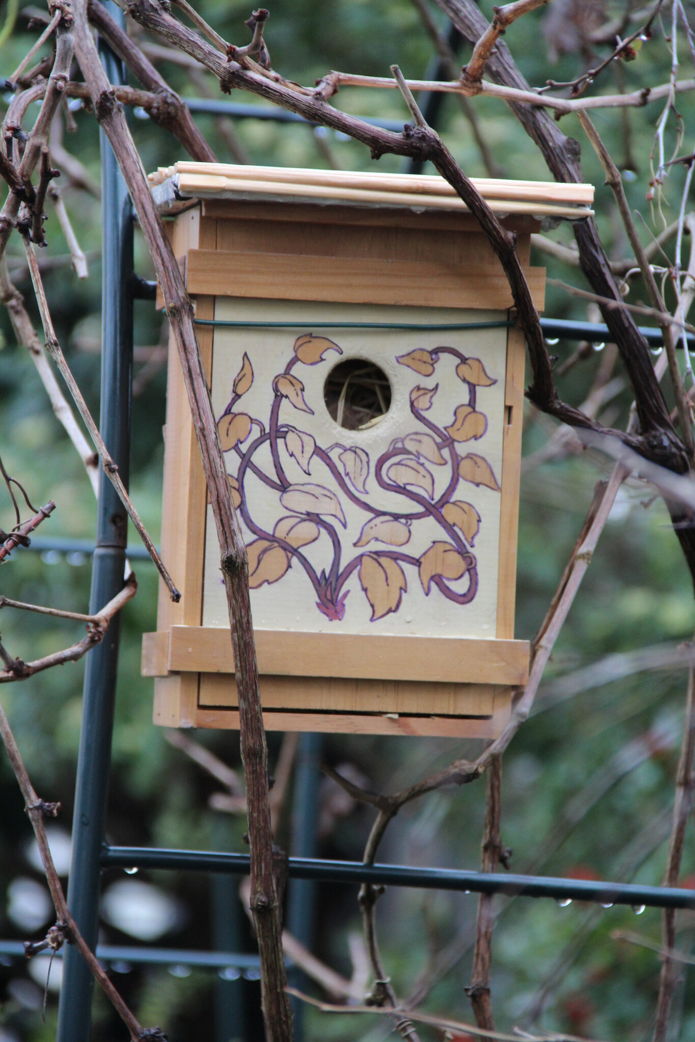 Le nichoir à oiseau : comment le construire et l'installer au jardin ?