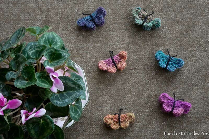 Papillon Anisbee 01
