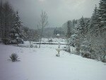 PICT0041