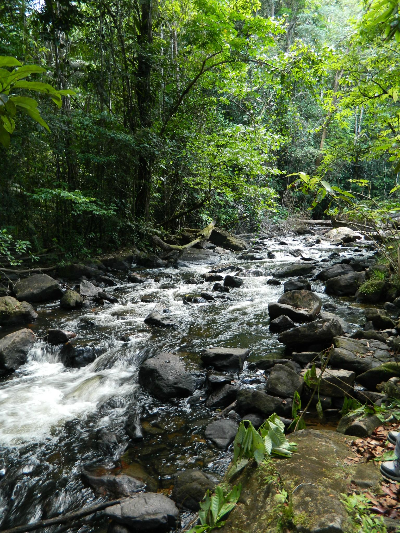 30 octobre 2012 Chutes Voltaire (11) Photo de H. Chutes Voltaire