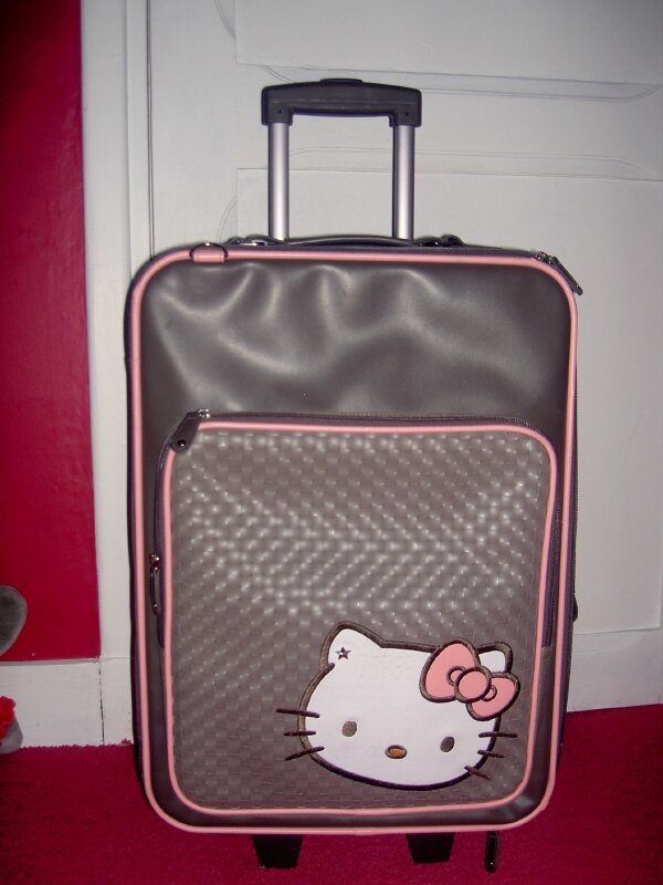 hello kitty valise