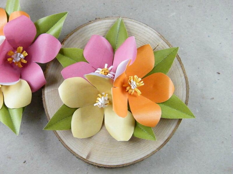 fleurs-tahitienne-06