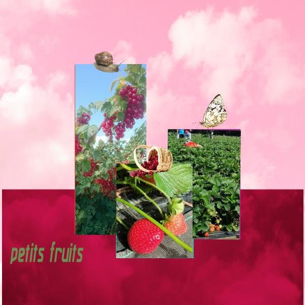 petits_fruits