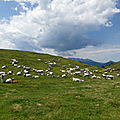 Ariège 2013 : entre Salat, Garbet et Arac