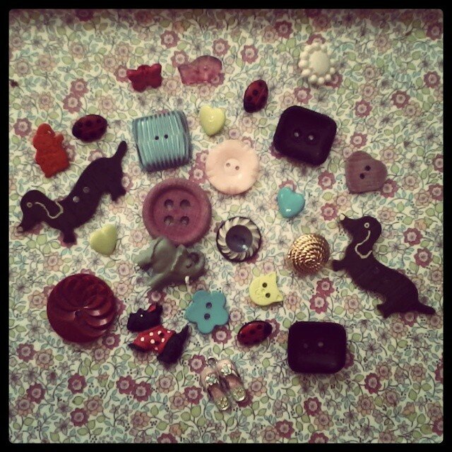 boutons