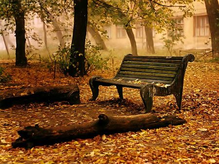 automne_79
