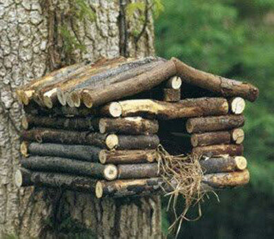 nest-box-for-the-birds