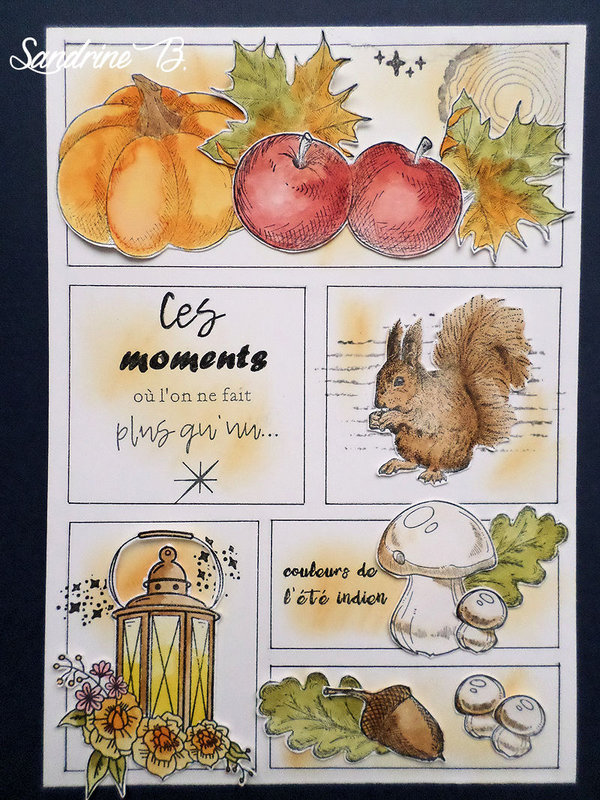 SANDRINE B dt