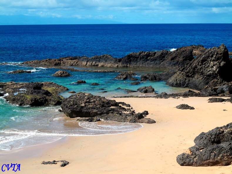 Palette De Couleurs Bleu Marine Et Turquoise Ile Porto Santo