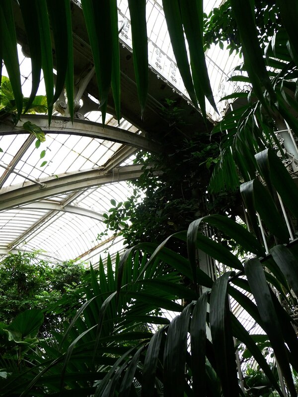 Palm House à Kew