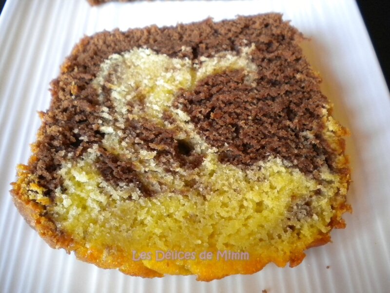 Cake marbré au chocolat façon savane 5