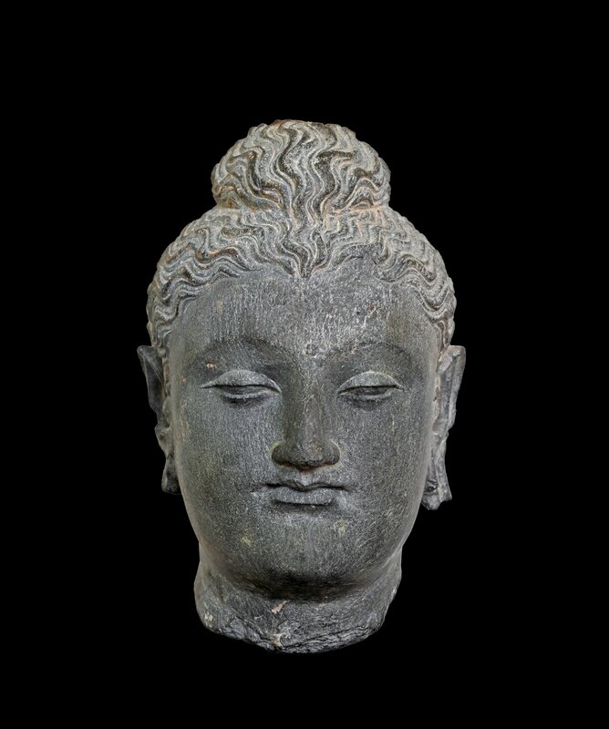 Gandhara head of Buddha in grey schist
