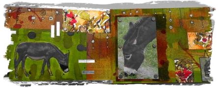 Les_4_saisons_0036