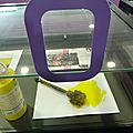 ALLEGE NOUVEAU (14)