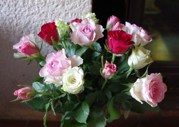 roses