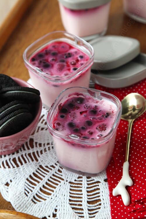 recette de yaourts maison cremeux aux fruits rouges 0004 LE MIAM MIAM BLOG
