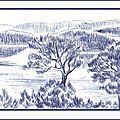 Paysage provençal découverte ballade en bateau croquis au stylo bille - Illustration revue Joie de vivre Berratenco