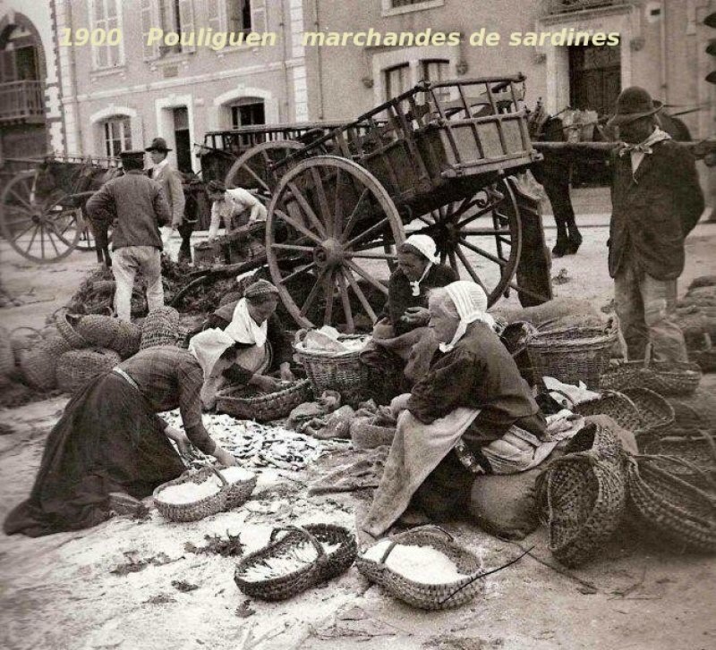 1900 marchandes de sardines